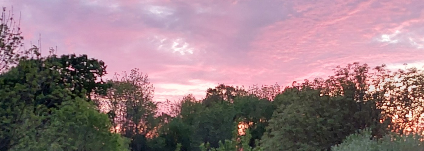 Uruchomienie nowej strony.